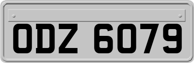 ODZ6079