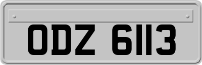 ODZ6113