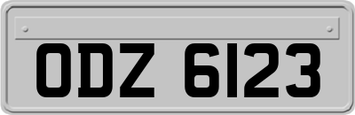 ODZ6123