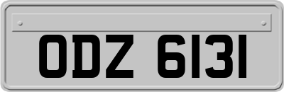 ODZ6131