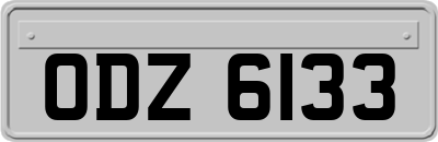 ODZ6133