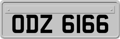 ODZ6166