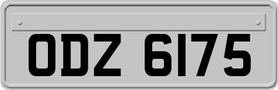 ODZ6175