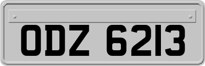 ODZ6213