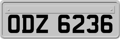 ODZ6236