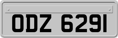 ODZ6291