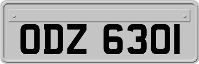 ODZ6301