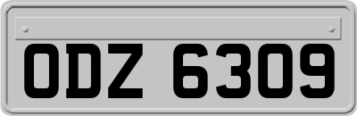 ODZ6309