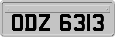 ODZ6313