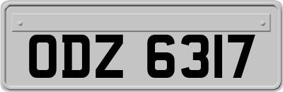 ODZ6317