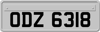 ODZ6318
