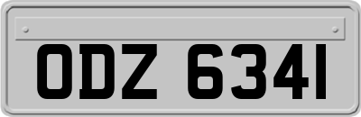 ODZ6341