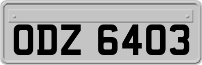 ODZ6403