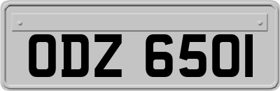 ODZ6501