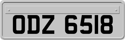 ODZ6518