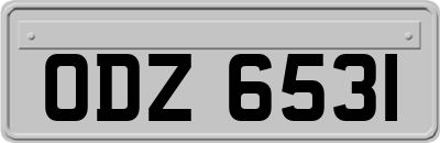 ODZ6531
