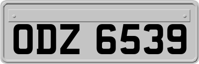 ODZ6539
