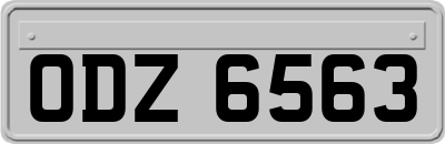 ODZ6563