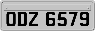 ODZ6579