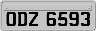 ODZ6593