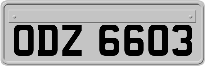 ODZ6603