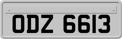 ODZ6613