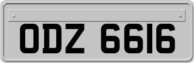 ODZ6616