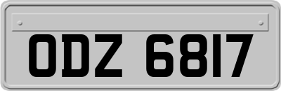 ODZ6817