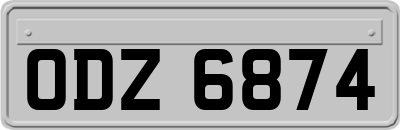ODZ6874