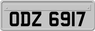 ODZ6917