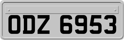 ODZ6953