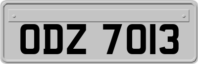 ODZ7013