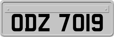 ODZ7019