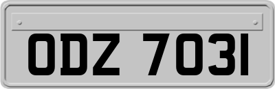 ODZ7031