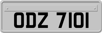 ODZ7101