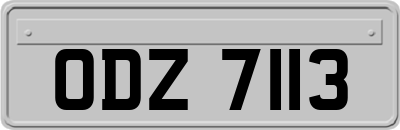 ODZ7113