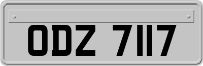 ODZ7117