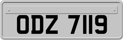 ODZ7119