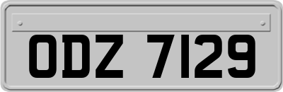 ODZ7129