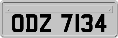 ODZ7134