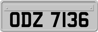 ODZ7136