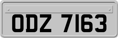 ODZ7163