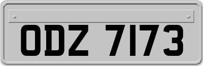 ODZ7173