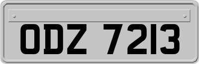 ODZ7213