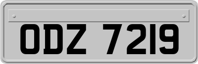 ODZ7219