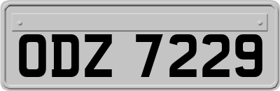 ODZ7229