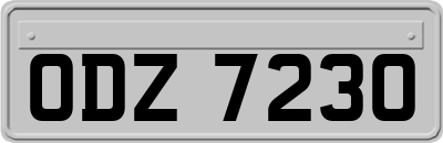 ODZ7230