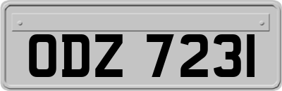 ODZ7231