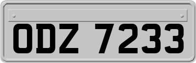 ODZ7233