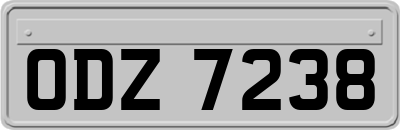 ODZ7238